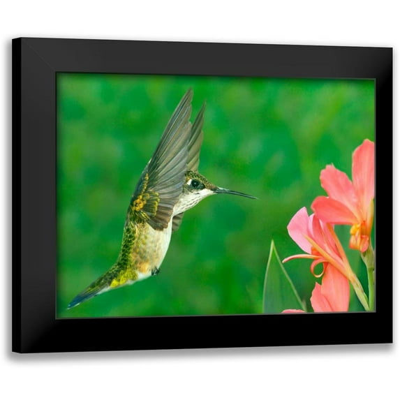 Robertson, Leda 14x12 Black Modern Framed Museum Art Print Titled - The Flower Dance XV