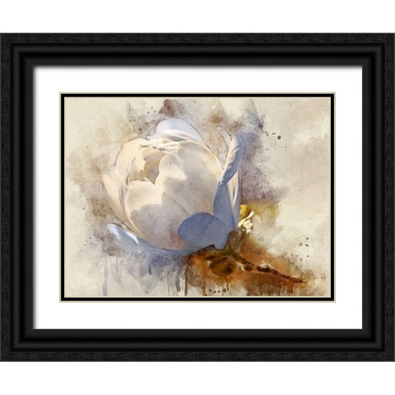 Robertson, Leda 14x12 Black Ornate Wood Framed with Double Matting Museum Art Print Titled - Playful Petals IV