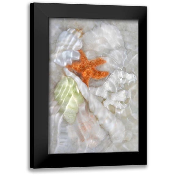 Robertson, Leda 17x24 Black Modern Framed Museum Art Print Titled - Underwater Light Waves I