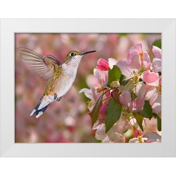 Robertson, Leda 18x15 White Modern Wood Framed Museum Art Print Titled - The Flower Dance V