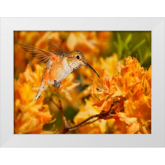 Robertson, Leda 18x15 White Modern Wood Framed Museum Art Print Titled - The Flower Dance X