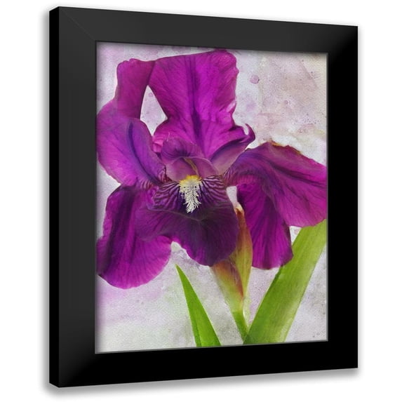 Robertson, Leda 18x24 Black Modern Framed Museum Art Print Titled - Easy Beauty