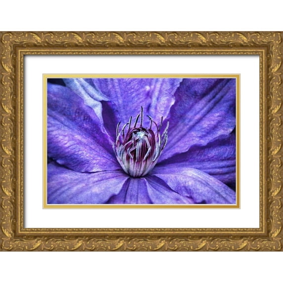Robertson, Leda 24x17 Gold Ornate Wood Framed with Double Matting Museum Art Print Titled - Intimate Unfolding