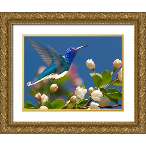 Robertson, Leda 24x19 Gold Ornate Wood Framed with Double Matting Museum Art Print Titled - The Flower Dance XIV