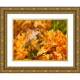 thumbnail image 1 of Robertson, Leda 24x19 Gold Ornate Wood Framed with Double Matting Museum Art Print Titled - The Flower Dance X, 1 of 4