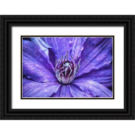 Robertson, Leda 32x23 Black Ornate Wood Framed with Double Matting Museum Art Print Titled - Intimate Unfolding