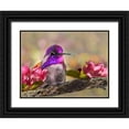 thumbnail image 1 of Robertson, Leda 32x25 Black Ornate Wood Framed with Double Matting Museum Art Print Titled - A Brilliant Peace II, 1 of 4