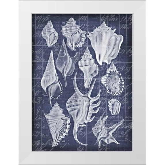 Robertson, Walter 11x14 White Modern Wood Framed Museum Art Print Titled - Shell Life 1