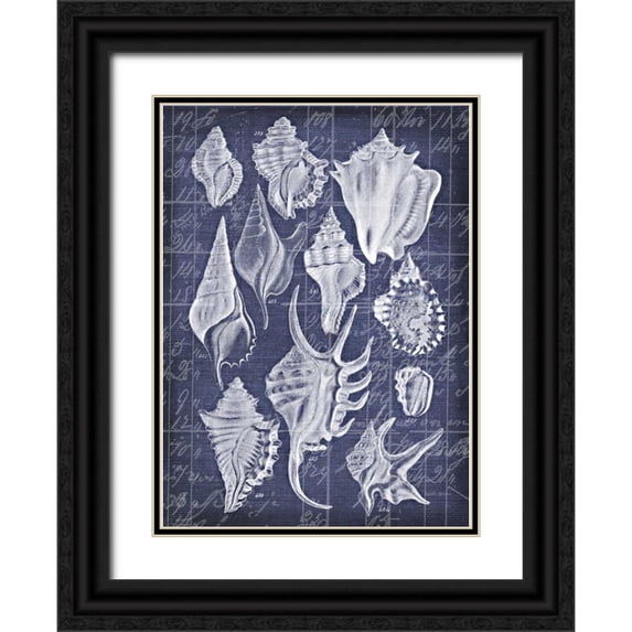 Robertson, Walter 24x32 Black Ornate Wood Framed with Double Matting Museum Art Print Titled - Shell Life 1