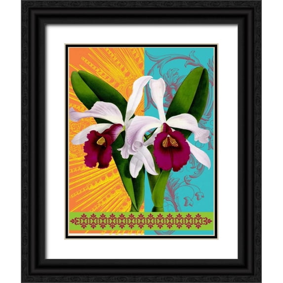 Robertson, Walter 26x32 Black Ornate Wood Framed with Double Matting Museum Art Print Titled - Star Burst Orchid