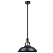 Robin 1-Light Satin Black Plug-In or Hardwire Pendant
