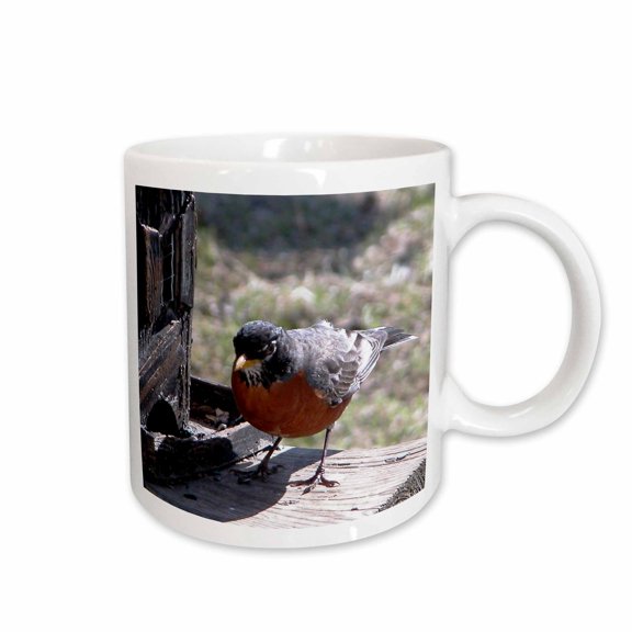 3drose, Robin and Birdhouse, 15oz Mug