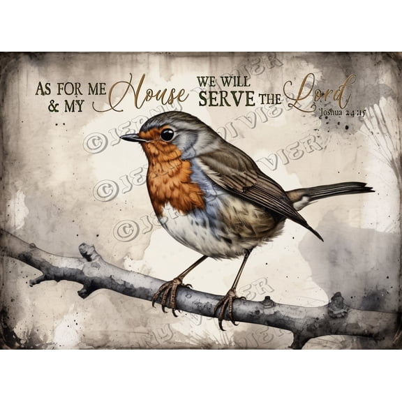 Robin Bird Garden Sign, Metal Garden Signs for Outside, Decorative Outdoor Backyard Decor, Outdoor Signs for Patio, Backyard, Farmhouse, Porch Wall Decor Gift, Aluminum, 12x16 Inches