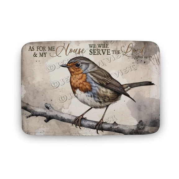 Robin Bird Print Bath Mats for Bathroom, Soft Absorbent Bird Bath Rug Non-Slip Floor Rug Carpets for Kitchen Bathroom Laundry Bedroom Living Room Decoration 16"x24"