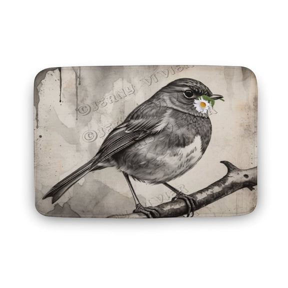 Robin Bird Print Bath Rugs Mats Door Mat Outdoor Doormat Non Slip Absorbent Bathroom Floor Mat Carpet for Home Kitchen Entrance 20"x32"