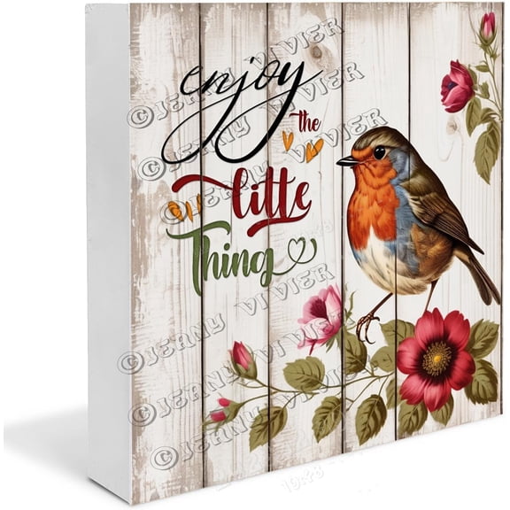 Robin Bird Wooden Box Sign Robin Bird Gifts Funny Bird Design Boho Decor for Shelves Table Centerpiece Ideas Wood Block Signs For Shelf Desk Decoration 5x5 In