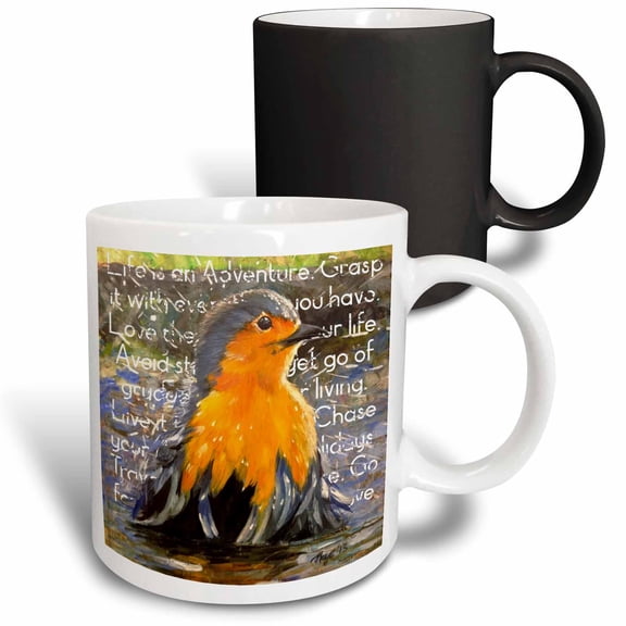 3drose, Robin Having a Bath, 11oz Magic Transforming Mug