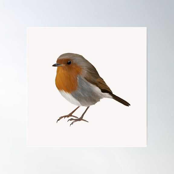 Robin - Illustrated Small Bird Poster Wall Art, Modern Wall Decor For Living Room Bedroom, 17x17 UNFRAMED