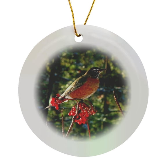Robin In The Mountain Ash Tree 1, Circle Porcelain Ornament
