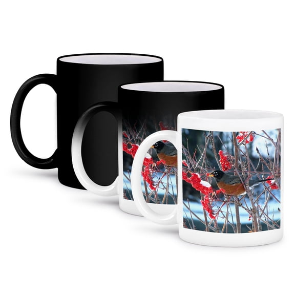 Robin In The Mountain Ash Tree 2, 11oz Magic Transforming Mug