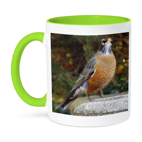 3dRose, Robin on alert, 15oz Two-Tone Green Mug