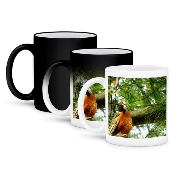 3dRose, Robin With His Head Cocked In Pine Branches, 11oz Magic Transforming Mug