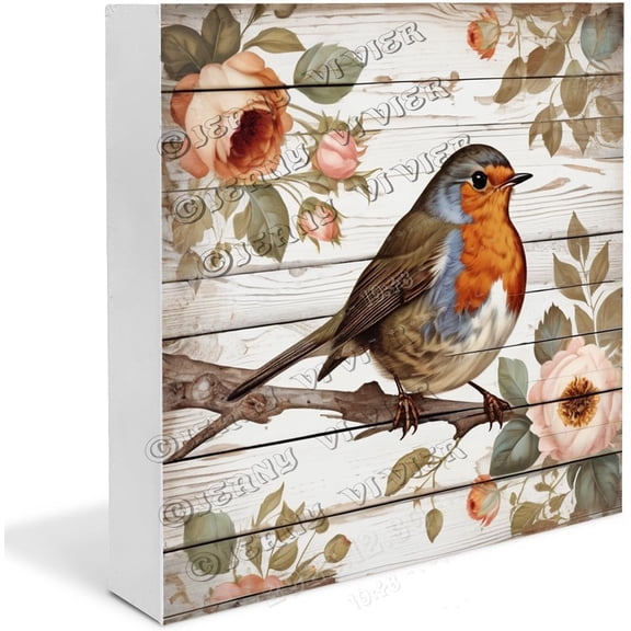 Robin Wooden Box Sign Robin Bird Gifts Funny Bird Decorations Boho Bedroom Decor Table Centerpiece Decor Wood Block Signs Housewarming Gifts 7x7 In