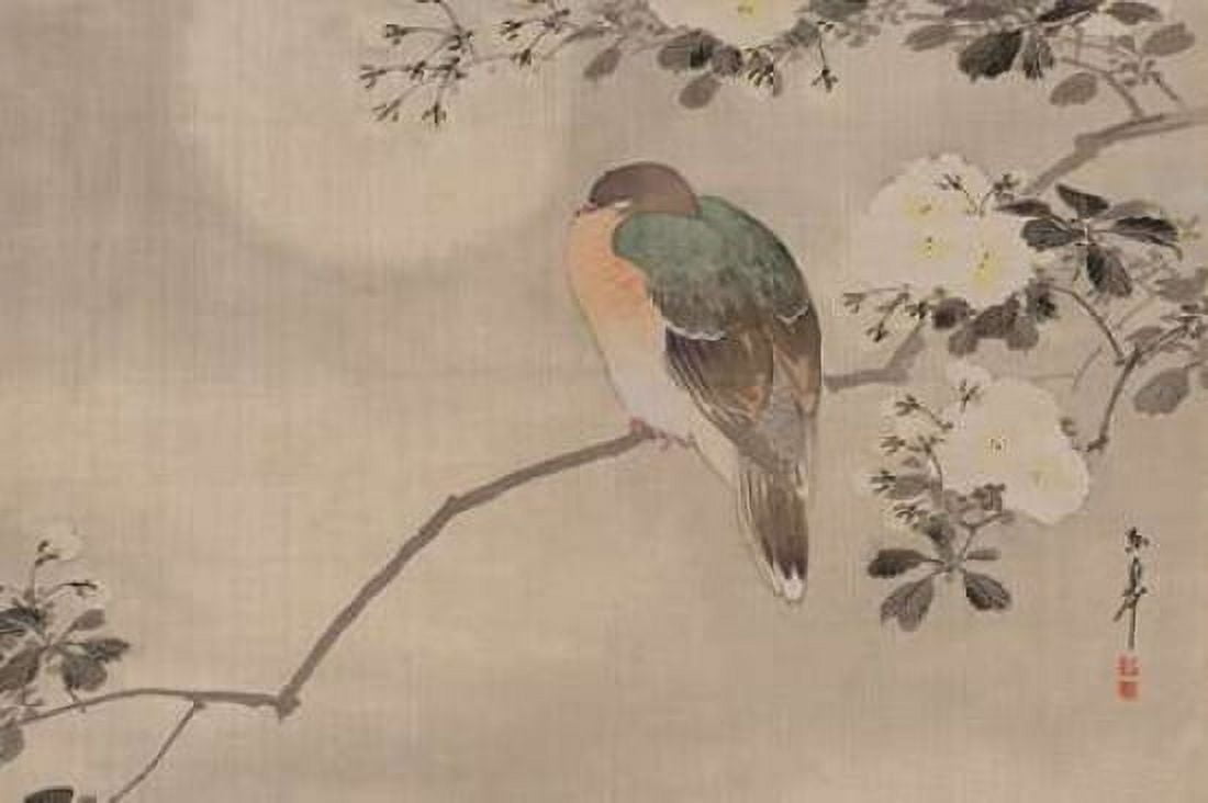 Robin sitting on a Tree Branch Canvas Art - Unknown (24 x 36)