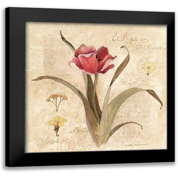 Robinson, Carol 12x12 Black Modern Framed Museum Art Print Titled - Red Tulip