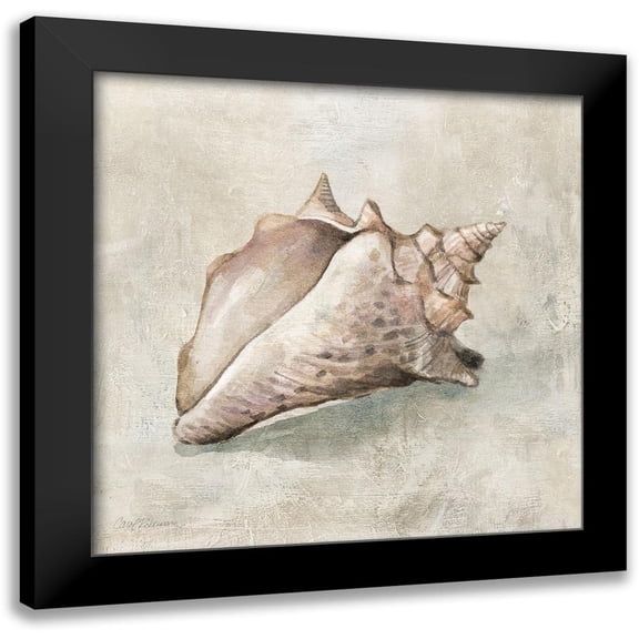 Robinson, Carol 12x12 Black Modern Framed Museum Art Print Titled - Seashell Textures II