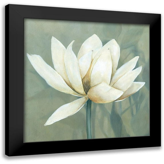 Robinson, Carol 12x12 Black Modern Framed Museum Art Print Titled - Waterlily I