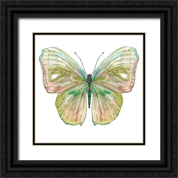 Robinson, Carol 12x12 Black Ornate Wood Framed with Double Matting Museum Art Print Titled - Soft Wings II