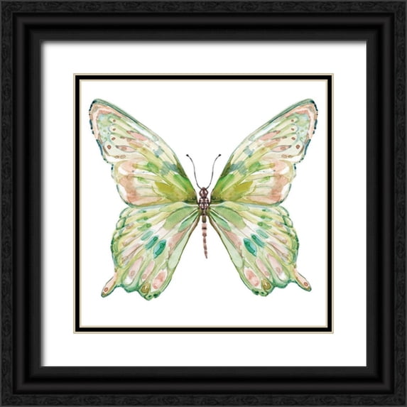 Robinson, Carol 12x12 Black Ornate Wood Framed with Double Matting Museum Art Print Titled - Soft Wings I