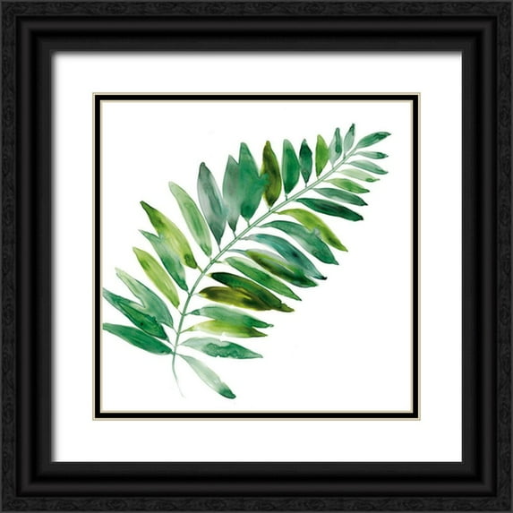 Robinson, Carol 12x12 Black Ornate Wood Framed with Double Matting Museum Art Print Titled - Tropical Frond II