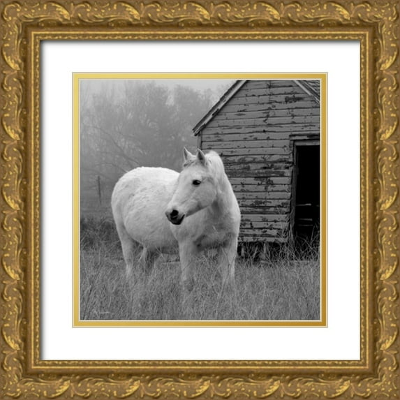 Robinson, Carol 12x12 Gold Ornate Wood Framed with Double Matting Museum Art Print Titled - Morning Pasture
