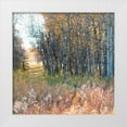thumbnail image 1 of Robinson, Carol 12x12 White Modern Wood Framed Museum Art Print Titled - Sunlit Pathway, 1 of 4