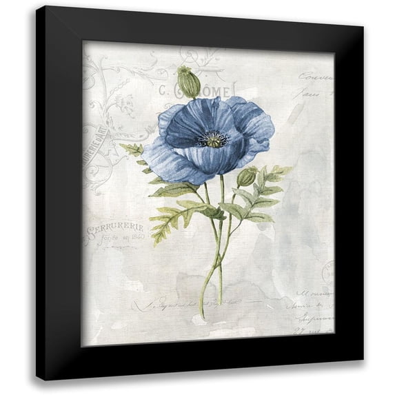 Robinson, Carol 12x14 Black Modern Framed Museum Art Print Titled - Blue Linen Poppy