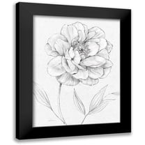 Robinson, Carol 12x14 Black Modern Framed Museum Art Print Titled - Peony Sketch