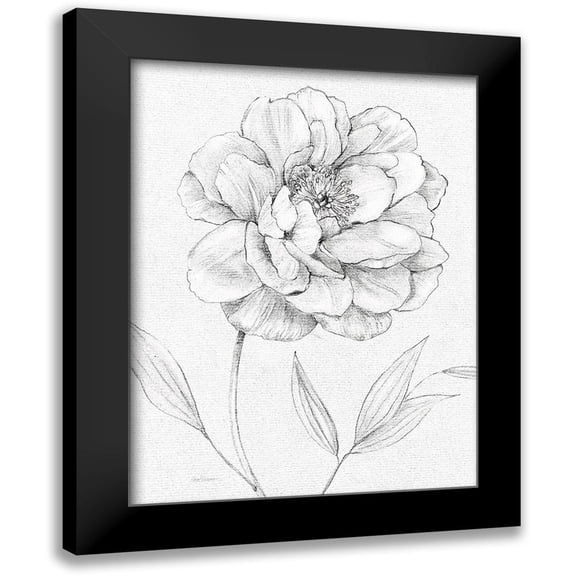 Robinson, Carol 12x14 Black Modern Framed Museum Art Print Titled - Peony Sketch