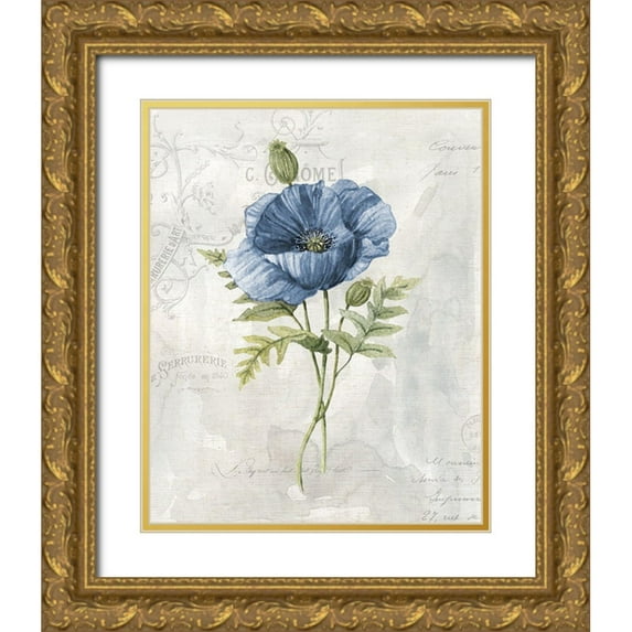 Robinson, Carol 12x14 Gold Ornate Wood Framed with Double Matting Museum Art Print Titled - Blue Linen Poppy