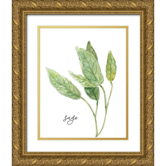 Robinson, Carol 12x14 Gold Ornate Wood Framed with Double Matting Museum Art Print Titled - Fresh Sprig Sage
