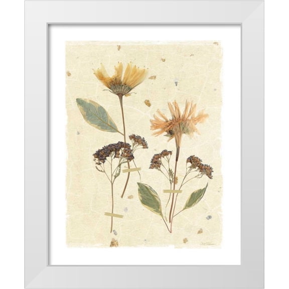 Robinson, Carol 12x14 White Modern Wood Framed Museum Art Print Titled - Pressed Daisies