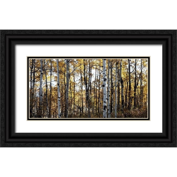Robinson, Carol 14x9 Black Ornate Wood Framed with Double Matting Museum Art Print Titled - Sunny Grove