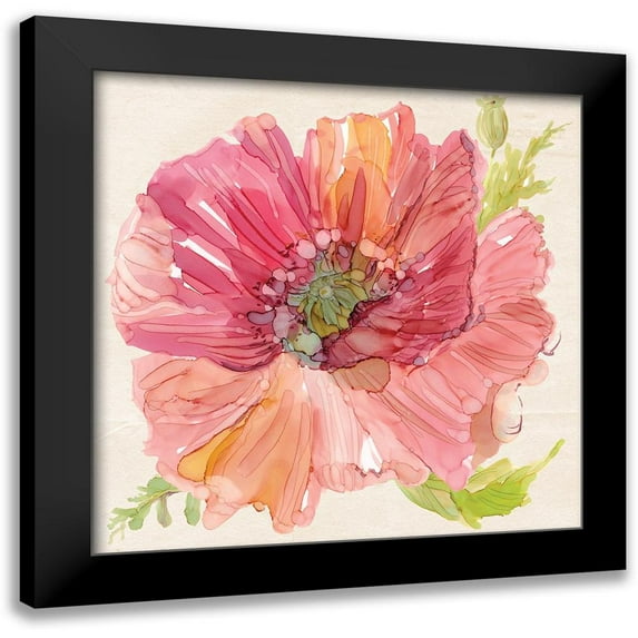 Robinson, Carol 15x15 Black Modern Framed Museum Art Print Titled - Botanical Poppy