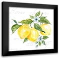 thumbnail image 1 of Robinson, Carol 15x15 Black Modern Framed Museum Art Print Titled - Lemon Squeeze II, 1 of 5