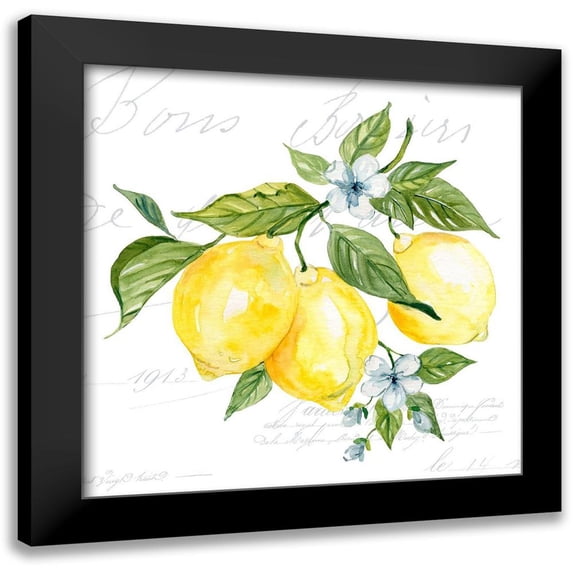 Robinson, Carol 15x15 Black Modern Framed Museum Art Print Titled - Lemon Squeeze II
