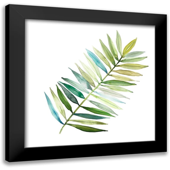 Robinson, Carol 15x15 Black Modern Framed Museum Art Print Titled - Palm Frond II