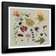 thumbnail image 1 of Robinson, Carol 15x15 Black Modern Framed Museum Art Print Titled - Pressed Assortment, 1 of 5