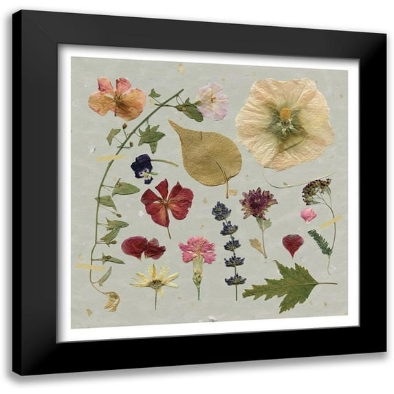 Robinson, Carol 15x15 Black Modern Framed Museum Art Print Titled - Pressed Assortment