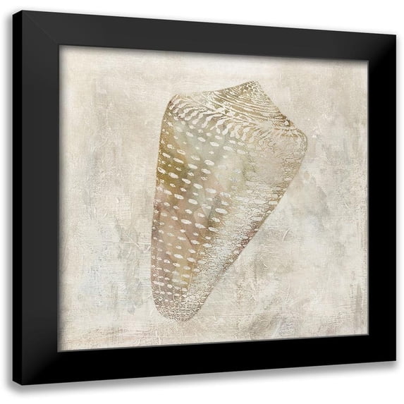 Robinson, Carol 15x15 Black Modern Framed Museum Art Print Titled - Seashell Illusion II